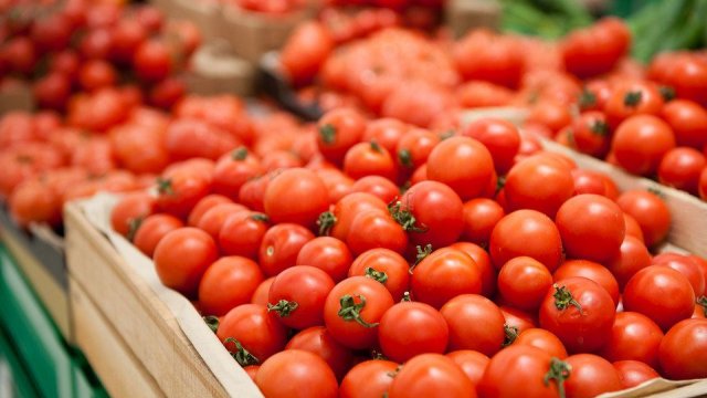 Daha 10 müəssisəyə Rusiyaya pomidor satmağa icazə verildi
