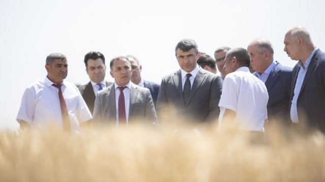 Qobustanda toxumçu fermerlərə yeni yerli və xarici taxıl sortları nümayiş olundu - FOTOLAR