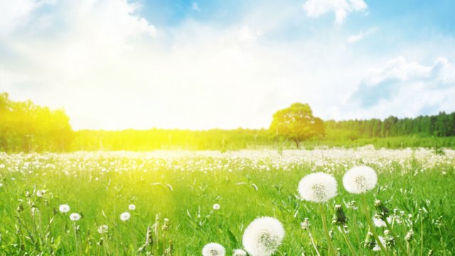 İstirahət günü temperatur 40 dərəcəyə qədər yüksələcək