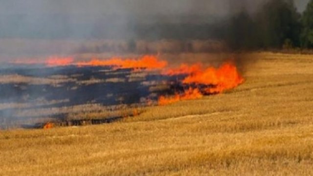 Azərbaycanın daha bir bölgəsində yanğın çıxdı