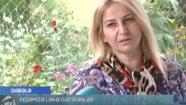 Şəhid ailəsindən pul istəyən aparıcı üzr istədi - VİDEO