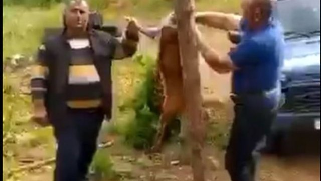 Laçında cüyür ovlayıb məclis quranlar saxlanıldı