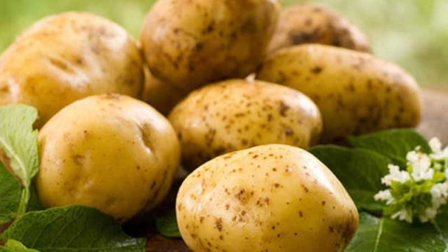 Azərbaycandan Rusiyaya kartof ixracına qadağa qoyula bilər