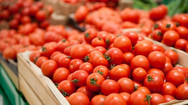 Azərbaycanın 187 müəssisəsindən Rusiyaya pomidor ixracına icazə verildi