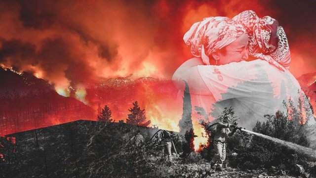 Türkiyədə meşə yanğınlarını törədən \