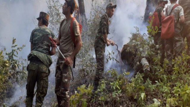 Yardımlıda yanğının söndürülməsi işləri davam edir - VİDEO