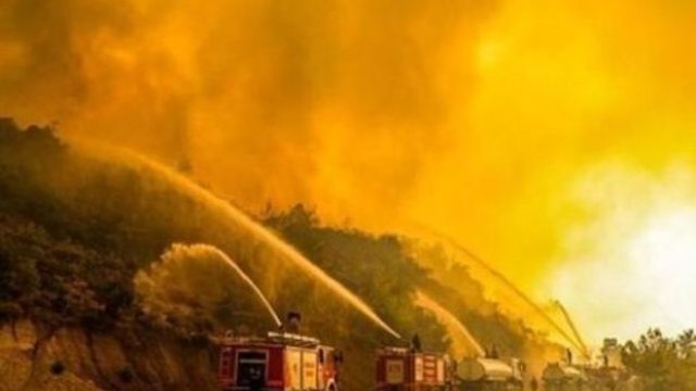 Türkiyədə 11 gündür davam edən meşə yanğını lokallaşdırılıb - FOTO
