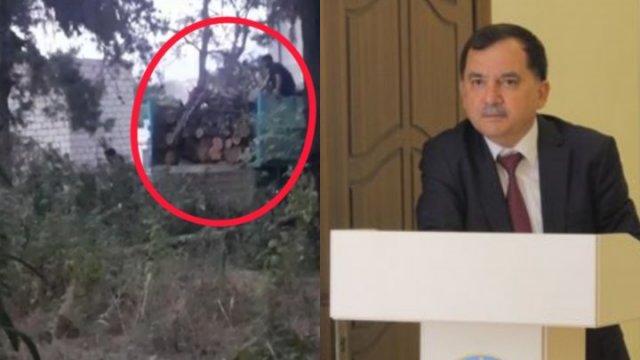 İcra başçısı 