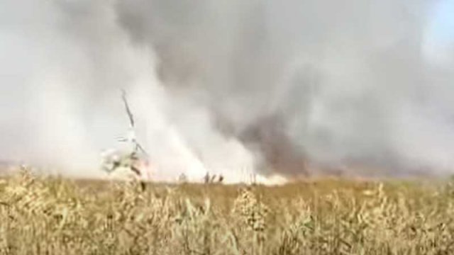 Külək Dövlət Qoruğundakı yanğının söndürülməsini çətinləşdirir (VİDEO)