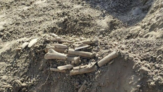 Cəlilabadda qədim məzarlıq tapıldı - FOTO