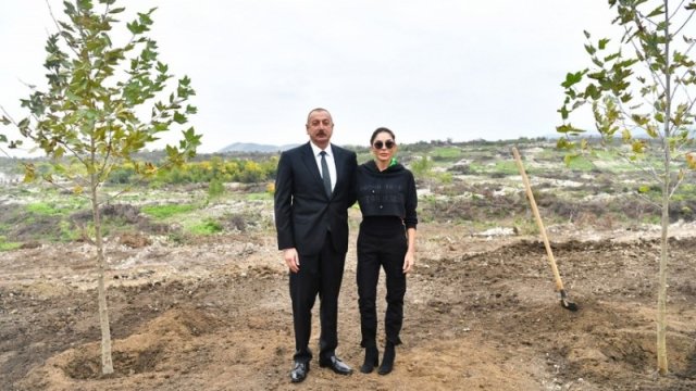 Prezident və birinci xanım Füzulidə ağac əkdi - FOTO