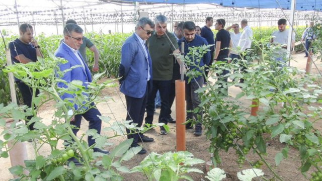 Azərbaycan və İsrail aqrar tədqiqatlar və kadr hazırlığı sahəsində əməkdaşlığı genişləndirəcək