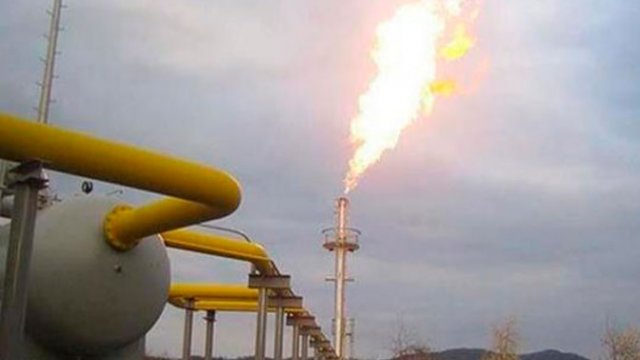 Avropada qazın qiyməti 1700 dolları keçdi