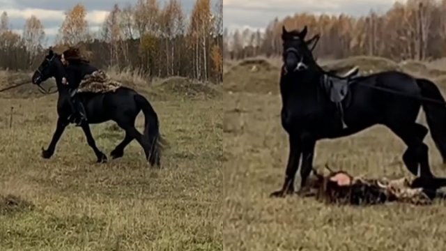 Müğənni çəkiliş zamanı atdan yıxıldı, başından zədə aldı - Video