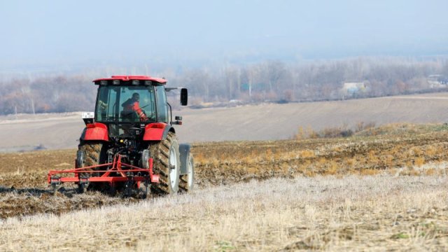 Aqrar sahədə məhsuldarlığın artımı üçün kompleks aqrotexniki xidmətlər tətbiq edilir - FOTOLAR