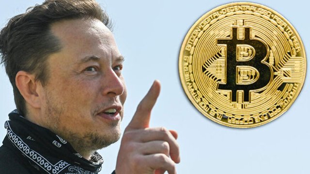 İlon Mask “bitcoin”in əsl yaradıcısının adını açıqladı