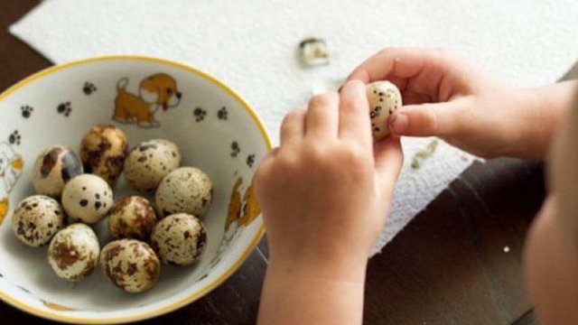 Danışmayan uşağa göyərçin və ya bildirçin yumurtası vermək dilini açırmı? - Loqopeddən izah