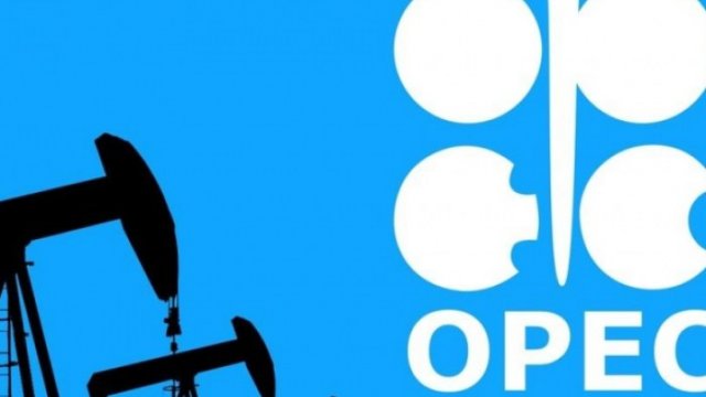 OPEC Azərbaycanla bağlı proqnozunu açıqladı