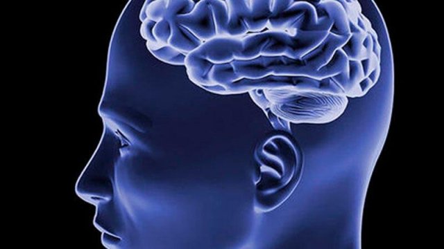 Hansı qida məhsulları beyinin işini zəiflədir? - SİYAHI