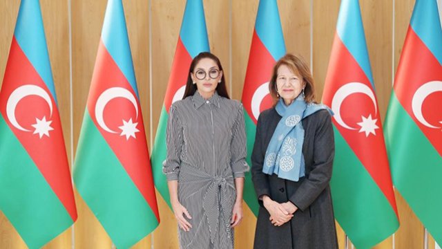 Mehriban Əliyeva Emma Nikolsonla görüşdü - FOTOLAR