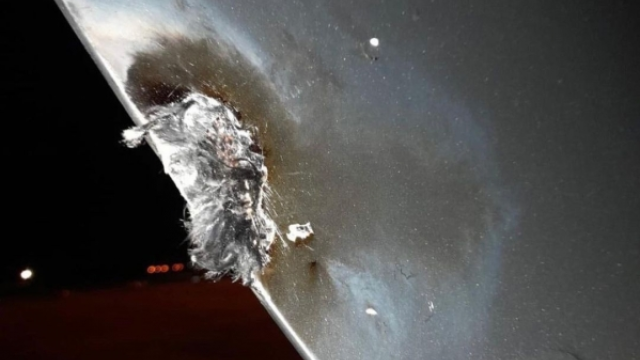 Məşhur müğənninin olduğu təyyarəni ildırım vurdu - Video