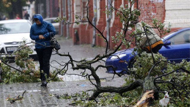 Güclü küləyin vurduğu ziyanı kim qarşılayacaq? - AÇIQLAMA