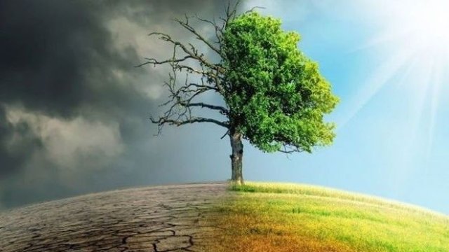 Azərbaycanda quraqlıq təhlükəsi: “Yalnız bizdə yox, dünyada gedən prosesdir” - ARAŞDIRMA