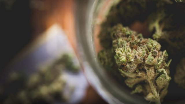 Toy yeməyinə narkotik qatan qadın saxlandı