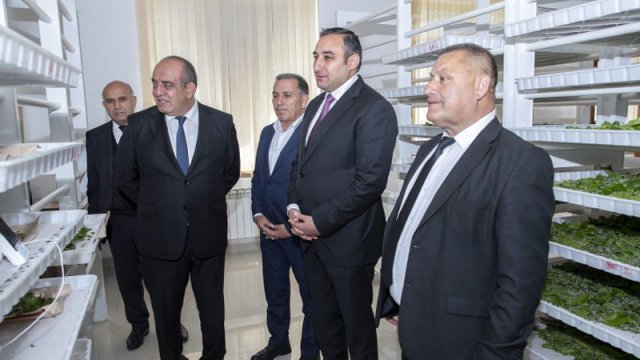 Respublika üzrə kümçülərə ipəkqurdu toxumunun paylanması başa çatdı - FOTOLAR