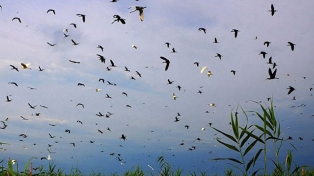 Dünyada 1.8 milyard nəfər su qıtlığından əziyyət çəkə bilər