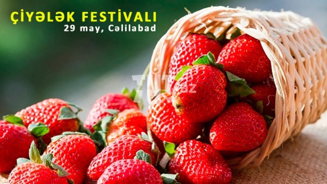 29 mayda Azərbaycanda ilk dəfə çiyələk festivalı keçiriləcək - FOTOLAR