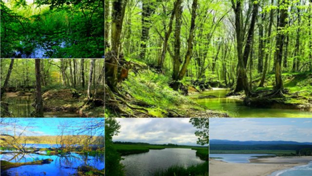 Türkiyənin zəngin florası: Təbiəti sevən səyahətçilər üçün gözəl xəzinə