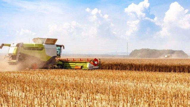 Taxıl böhranı uzaqda deyil: Ukrayna ixrac edə bilmir... - Britaniya kəşfiyyatı