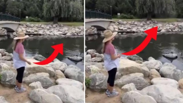 Ölən itinin külünü səpələmək istədi, havada alınan forma hər kəsi şoka saldı - VİDEO