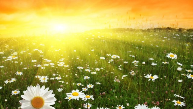 Sabahın hava proqnozu