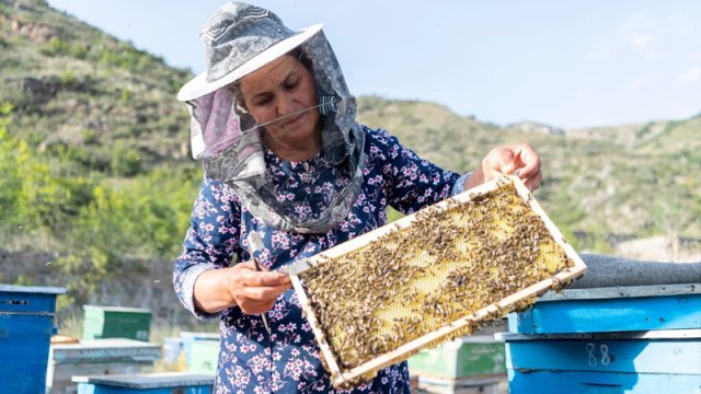 Laçın yaylaqlarında həyat - FOTOLAR