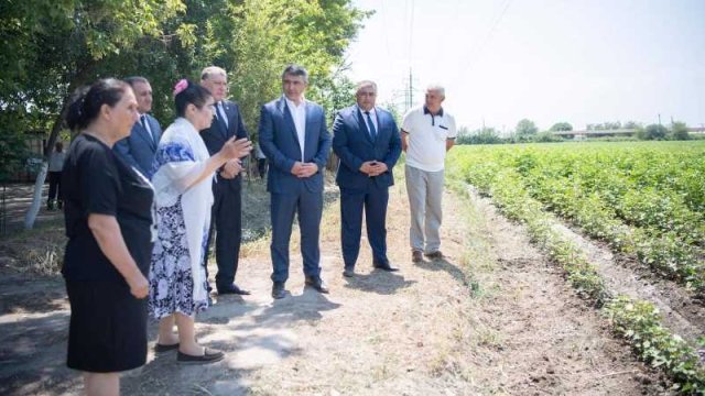 İnam Kərimov Sabirabadda təsərrüfatlara baş çəkib, fermerlərlə görüşüb