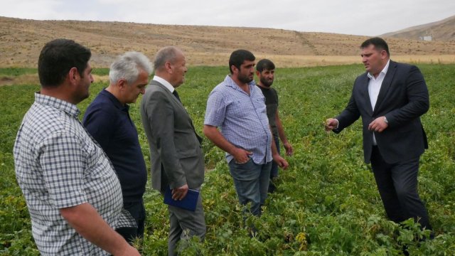 Lerik rayonunda kartof əkini ilə məşğul olan fermerlərlə görüş keçirildi - FOTOLAR