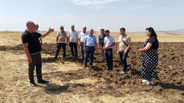 Fermerlərə yay şumunun üstünlükləri ilə bağlı təlim keçirildi - FOTO