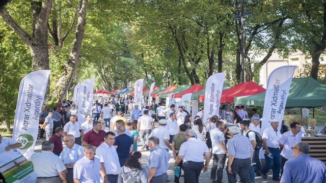 İsmayıllıda respublika toxum sərgi-satış yarmarkası keçirildi - FOTO