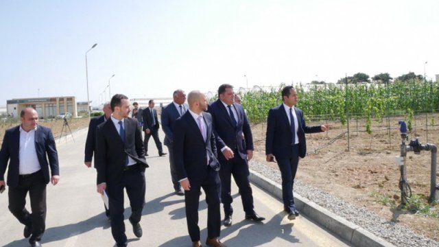 İsrail şirkətlərinin nümayəndələri Tərəvəzçilik Elmi-Tədqiqat İnstitutunun fəaliyyəti ilə tanış olub - FOTO