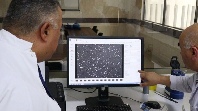 İlk dəfə iribuynuzlu heyvanlarda embrion transferi həyata keçiriləcək - FOTOLAR