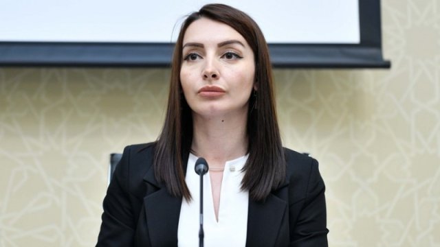 Azərbaycan XİN: “Ermənistan danışıqları pozmaq üçün yeni bəhanə axtarır”