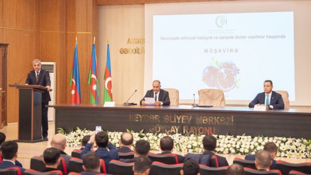 Göyçayda narçılıqla bağlı müşavirə keçirildi - FOTOLAR