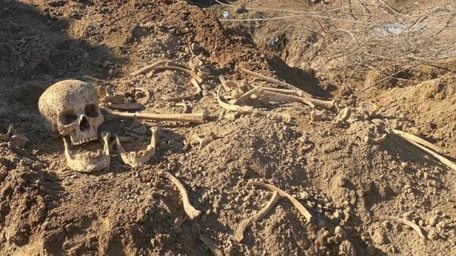 Ağdamda 30 il əvvəl öldürülərək basdırıldığı ehtimal olunan insan sümükləri aşkarlandı