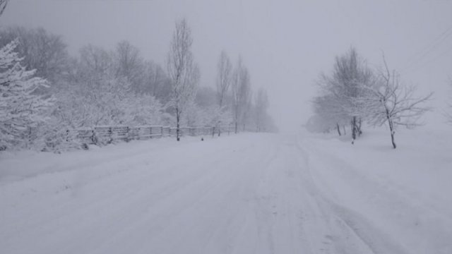 Altıağacda 9, Şahdağda 3 sm qar yağıb - FAKTİKİ HAVA