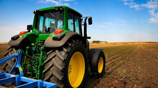 Ölkədə buğda əkinlərinin sahəsi 7,8 faiz artıb