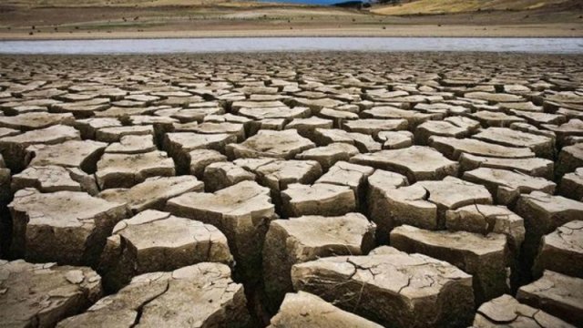 AMEA həyacan təbili çalır: 