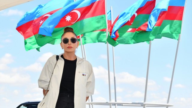 Milli Məclis Mehriban Əliyevanı təbrik etdi
