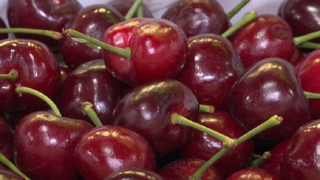 Bakıda 70 manata satılan gilas hardan gətirilib? - AÇIQLAMA